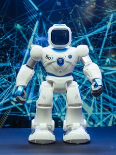 TRISTONES RS-Q Quadruped Robot